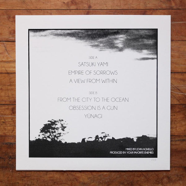 "A Vision Of The Lights We're In" [Vinyle]